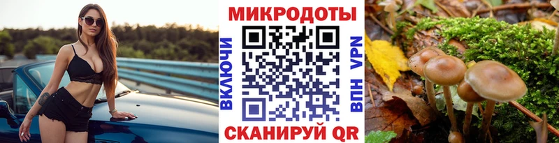 Купить  Североуральск  Галлюциногенные грибы GOLDEN TEACHER 